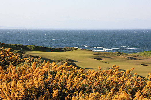 Thick gorse flanks the left side of the 17th hole