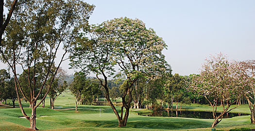 Stewart’s best tournament score was 64 over the New Course at Fanling