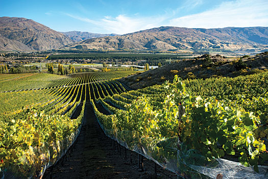 Akarua is one of Central Otago's most reputable producers