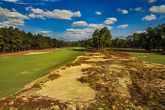 The irrigated areas at Pinehurst No 2 have been greatly reduced
