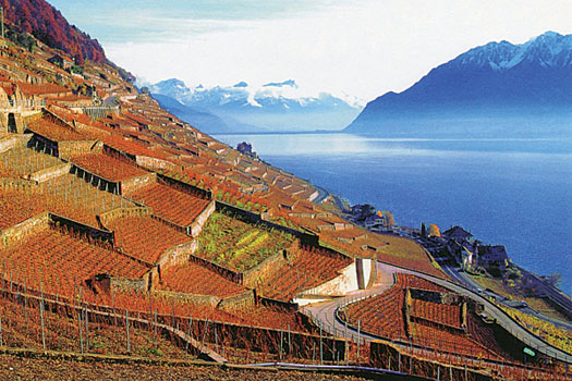 Lavaux, Switzerland