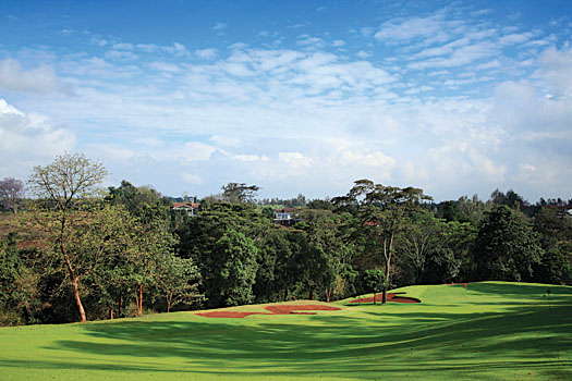 Windsor Golf Hotel and Country Club boasts some of the best conditioning of any course in Africa