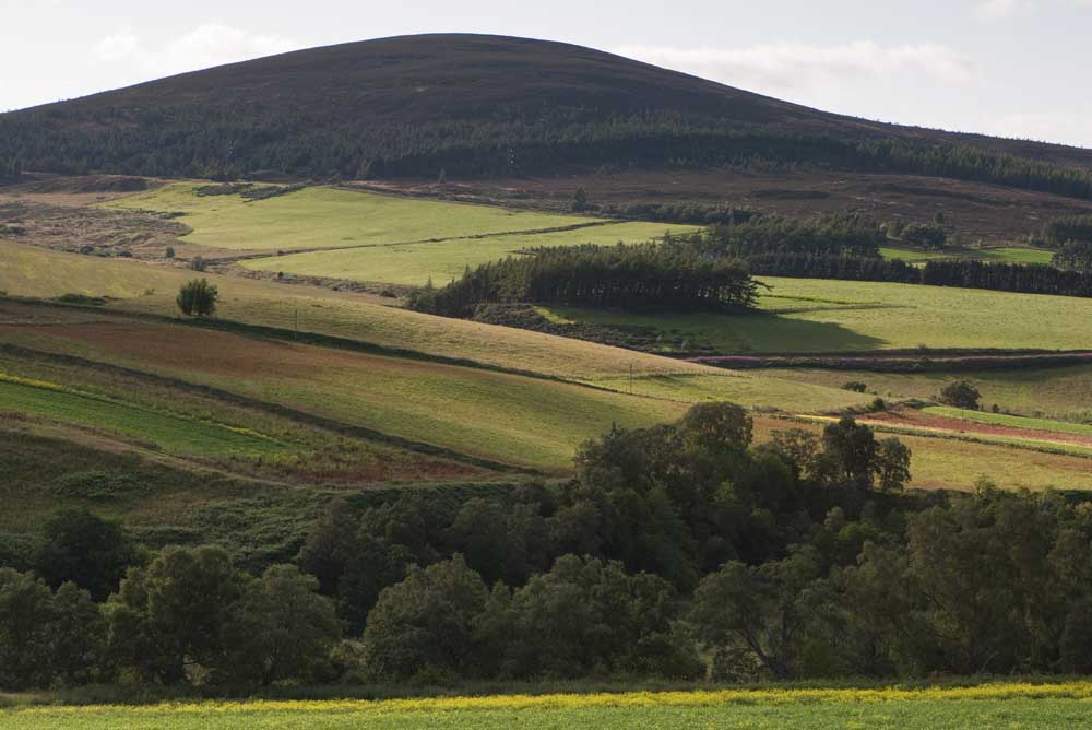 Dufftown sits on the River Fiddich and is home to six active distilleries