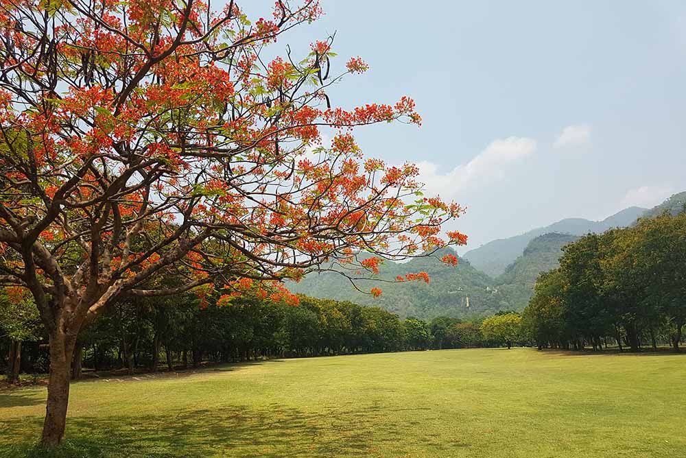 Yay Tagon Taung Golf Club embraces the term “less is more”